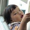 查斯特