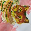 C猫