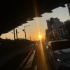 尼古丁小点心
