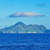漂流木
