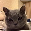 阿锤带来了甜甜圈