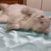 如梦初醒