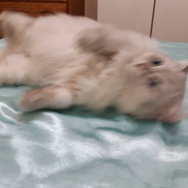 如梦初醒
