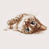 chuyi_chang