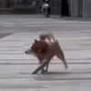 摸鱼听音乐