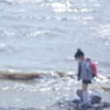 星星苹果怪