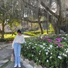 pinan_chao