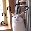 4hsuan