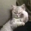 cool_dream_w7w