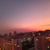 王秦