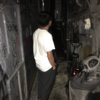 Leo43779523