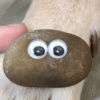 蒲公英