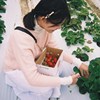 小圆