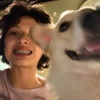 嗝屁的韭菜