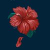 komorebi-may