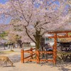 企鹅