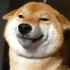 笨狗一只