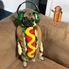 Pug！