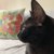 cynthia_fu