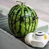 Watermelon Lin