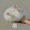 dail_dd