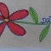 Daisy Mau