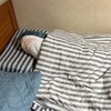 黛西