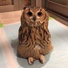 jeffliang_0523
