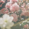 郁.