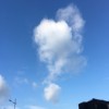 错别字大王