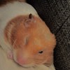 Vivian