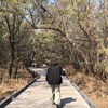 没有音乐像脱水の人
