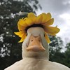 持修娶我