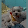 Nemo?