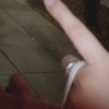 丹丹