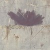 soft_bird_sob