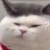 猪十三