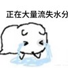 雨宫雾子
