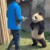 四万只小熊