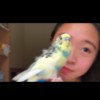 minhua
