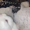 失联盐分