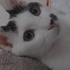 Kymn