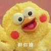 鹦鹉