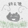 爱你在每一天