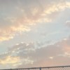 desertCoasis