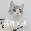 辉夜