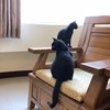 陈静