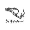漂流木乐团 Driftwood