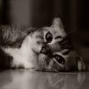 Hiiiiiiii