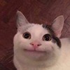 夕夕